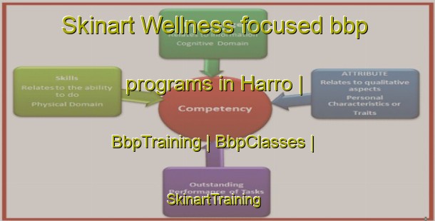 Skinart Wellness-focused bbp programs in Harro | BbpTraining | BbpClasses | SkinartTraining-Sweden